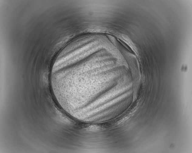 X0000090730441200708101643