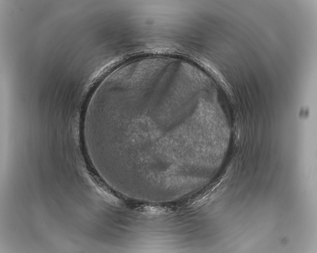 X0000090730442200708101643