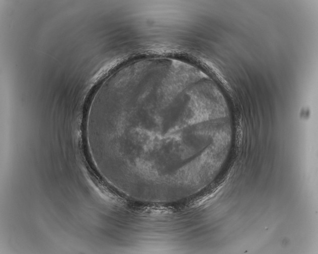 X0000090730443200708101643