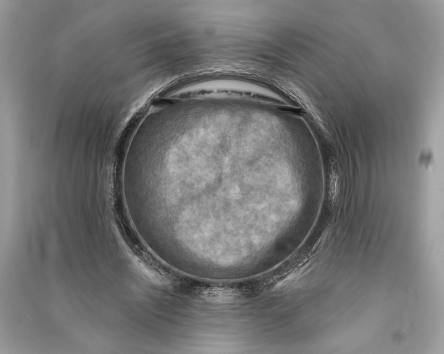 X0000090730444200708101643