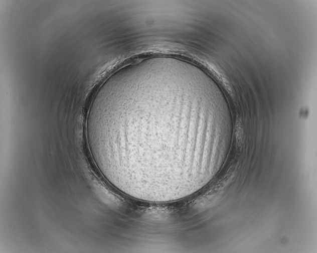 X0000090730445200708101643