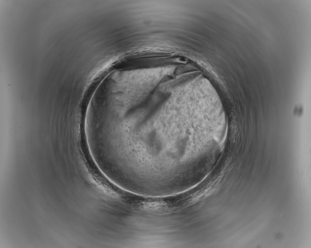 X0000090730446200708101643