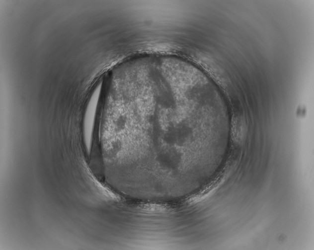 X0000090730449200708101643