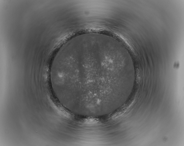 X0000090730451200708101643