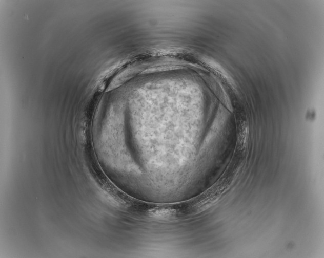 X0000090730452200708101643