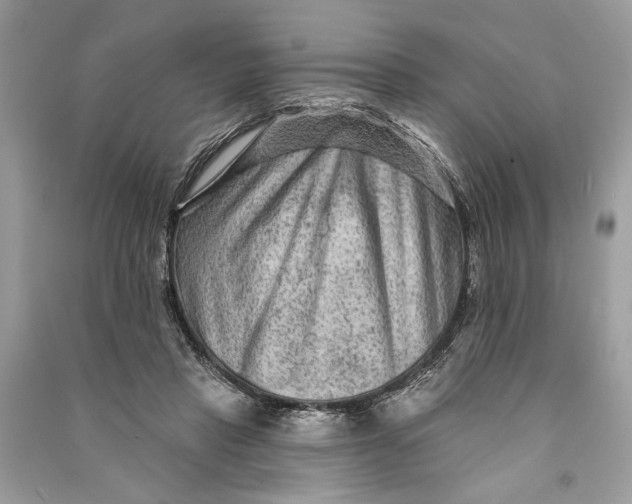 X0000090730453200708101643