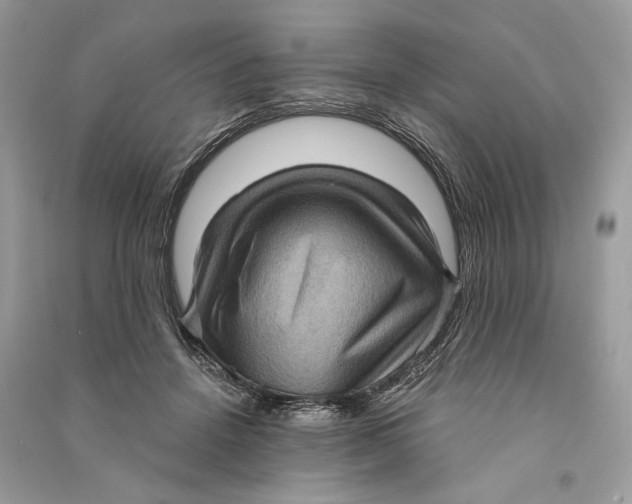 X0000090730456200708101643