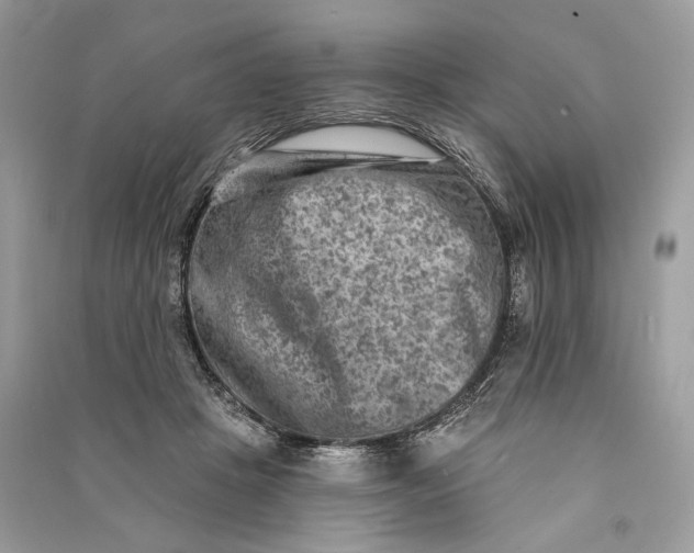 X0000090730457200708101644