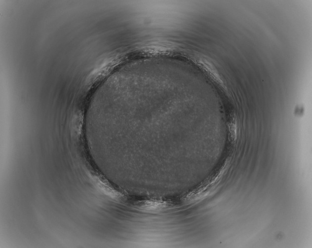 X0000090730458200708101644