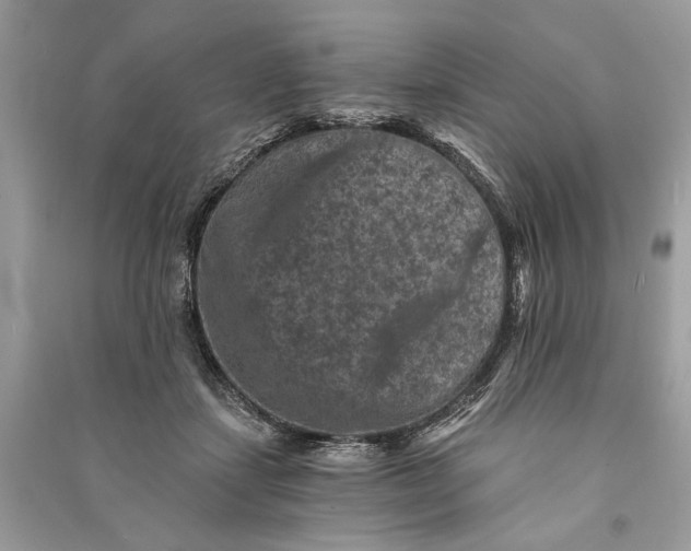 X0000090730459200708101644