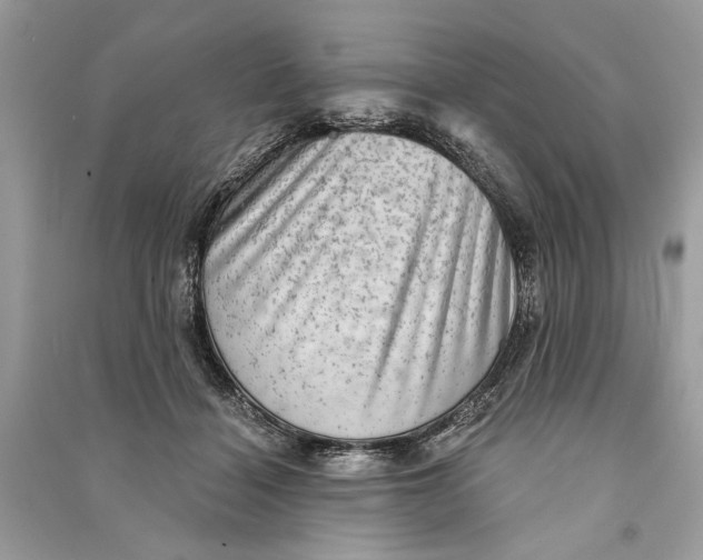 X0000090730460200708101644