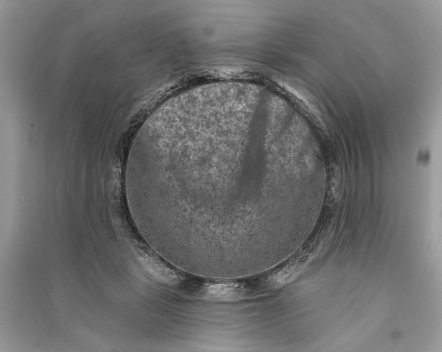 X0000090730461200708101644