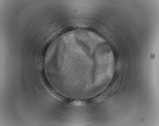 X0000090730464200708101644