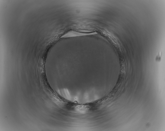 X0000090730465200708101644