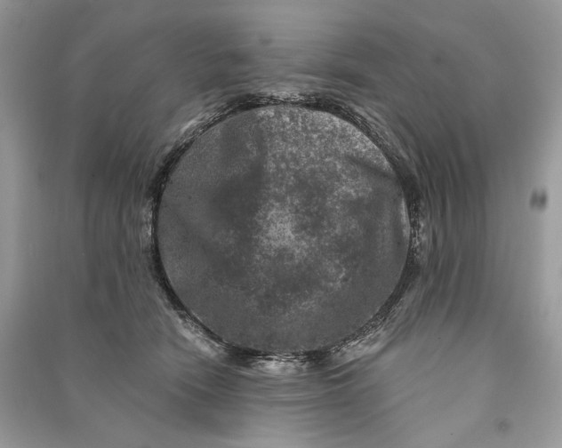 X0000090730466200708101644