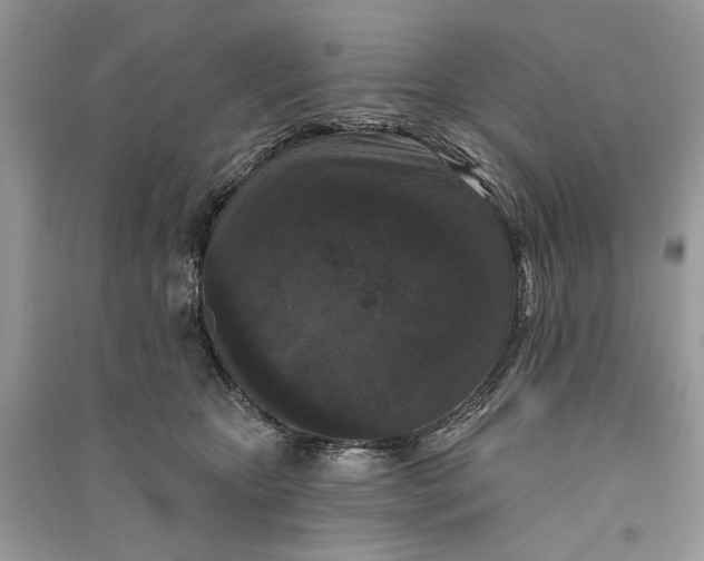 X0000090730467200708101644