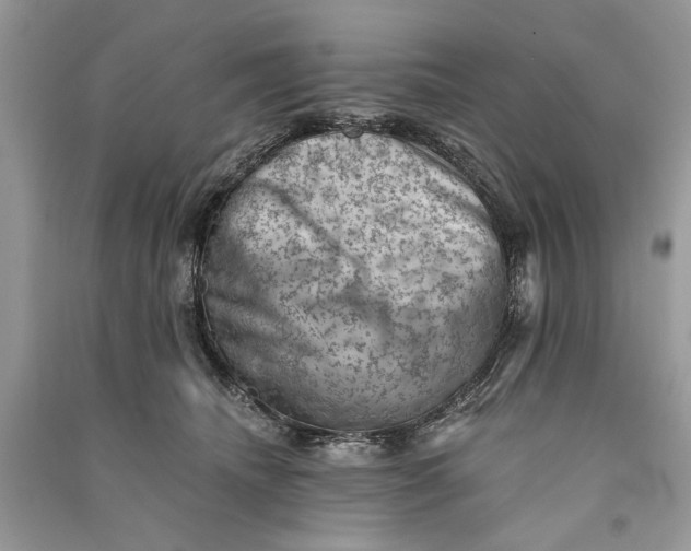 X0000090730468200708101644