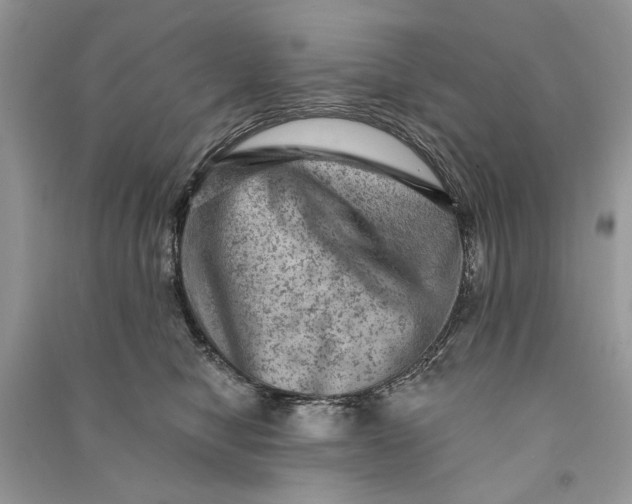 X0000090730470200708101644