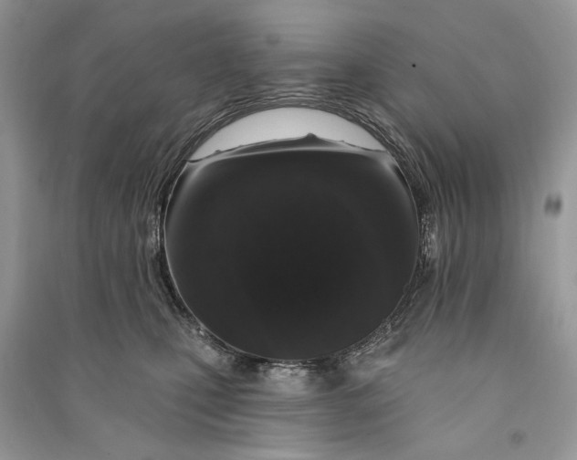 X0000090730471200708101644