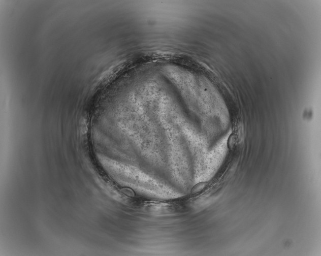 X0000090730472200708101644