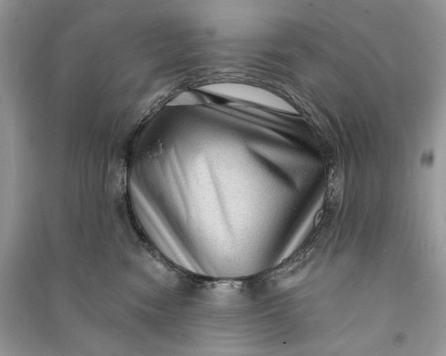 X0000090730474200708101644