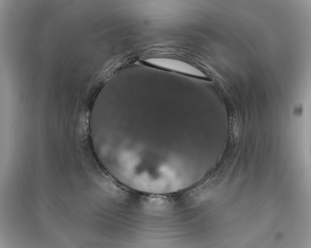 X0000090730475200708101644