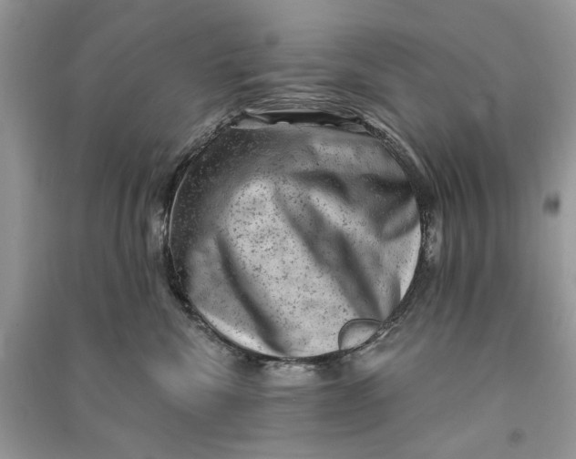 X0000090730476200708101644