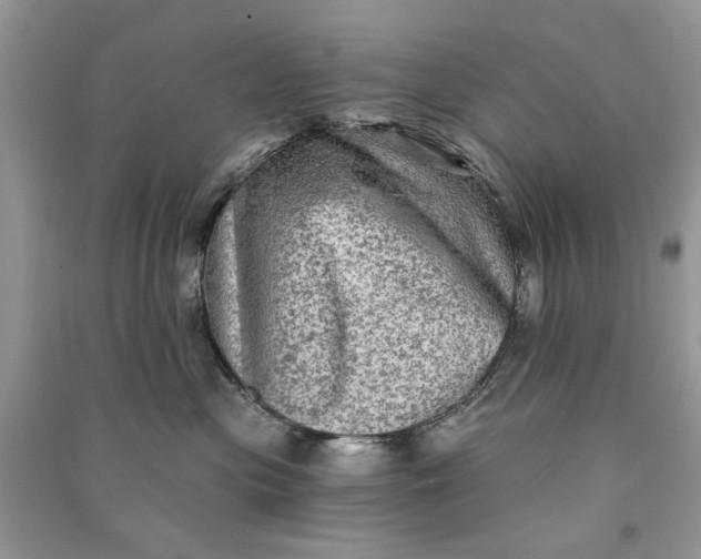 X0000090730477200708101644