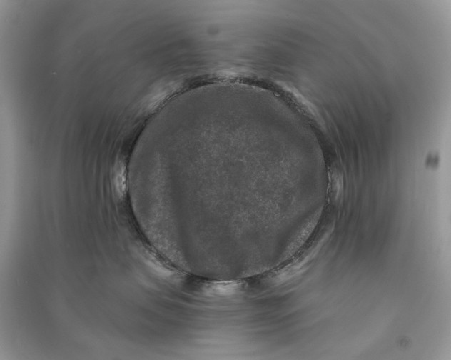 X0000090730479200708101644