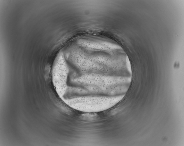 X0000090730480200708101644