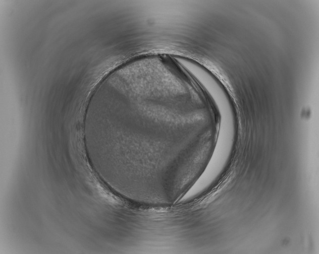 X0000090730481200708101643