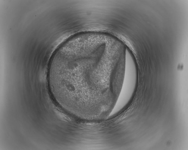 X0000090730483200708101643