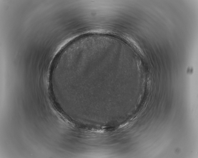 X0000090730484200708101643