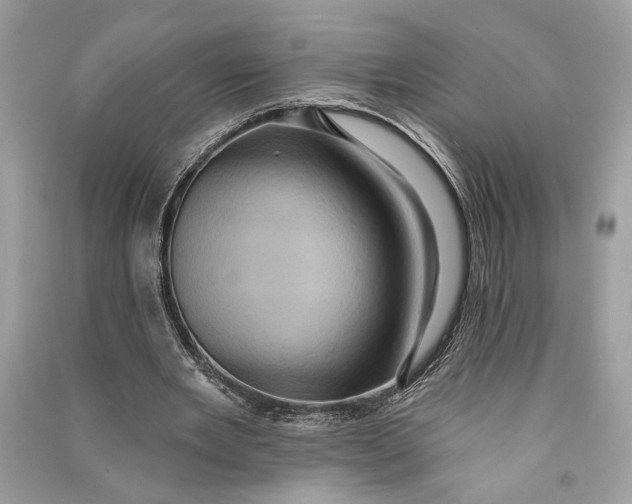 X0000090730485200708101643