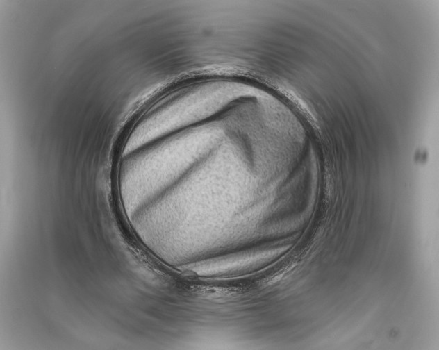 X0000090730486200708101643