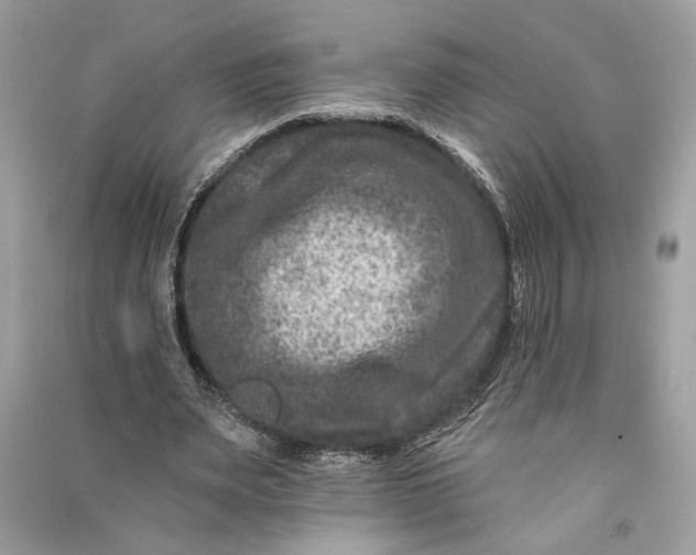 X0000090730487200708101643