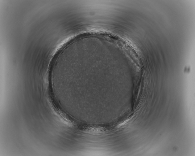 X0000090730488200708101643