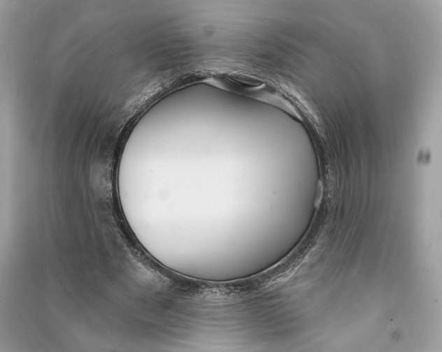 X0000090730489200708101643