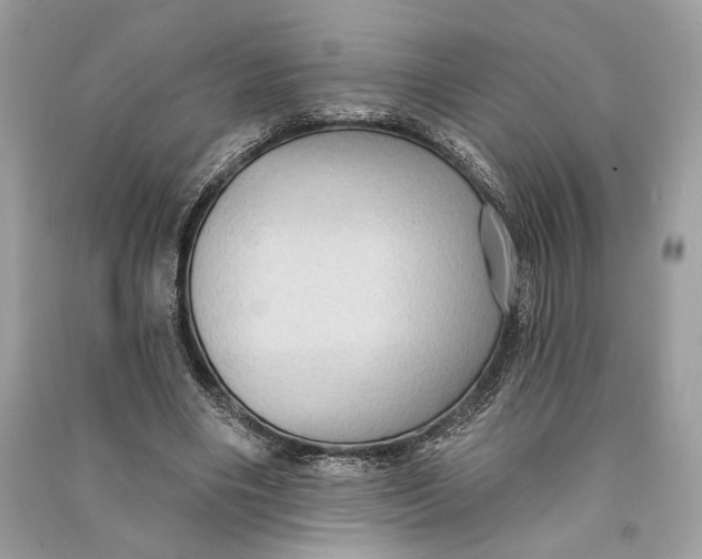 X0000090730490200708101643