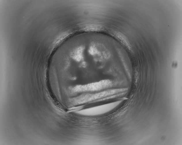 X0000090730491200708101643