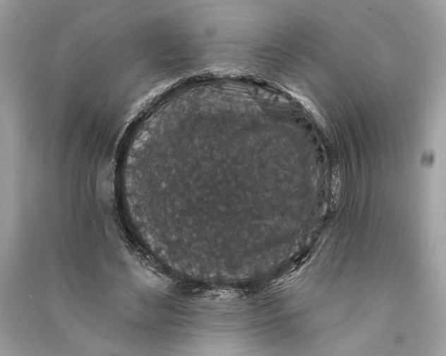 X0000090730492200708101643