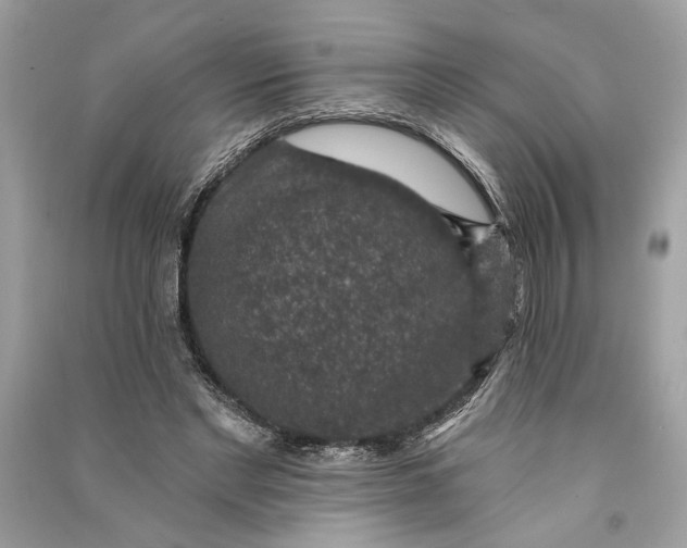 X0000090730493200708101643