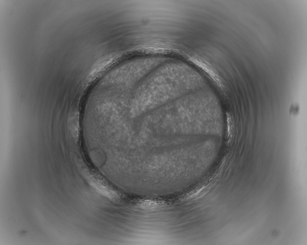 X0000090730494200708101643