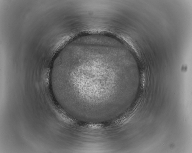 X0000090730495200708101643