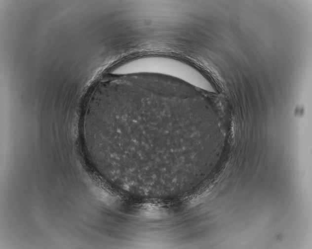 X0000090730496200708101643