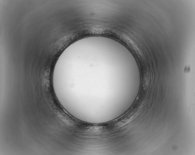 X0000090730497200708101643