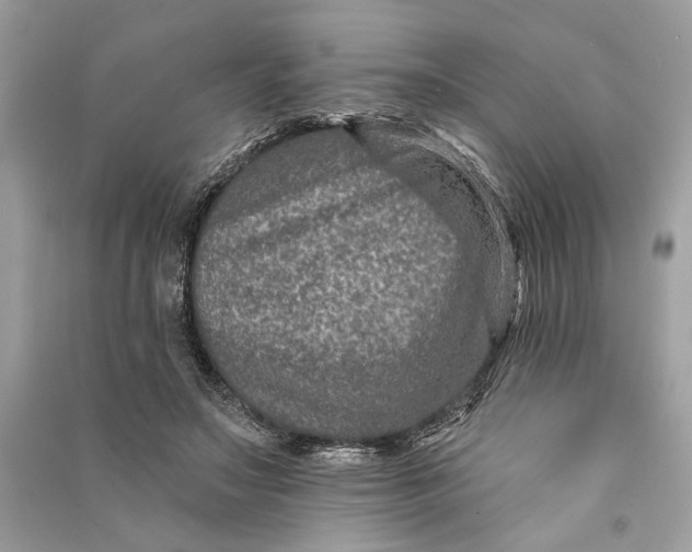 X0000090730499200708101643