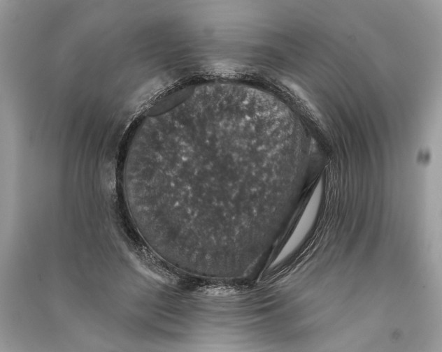 X0000090730500200708101643