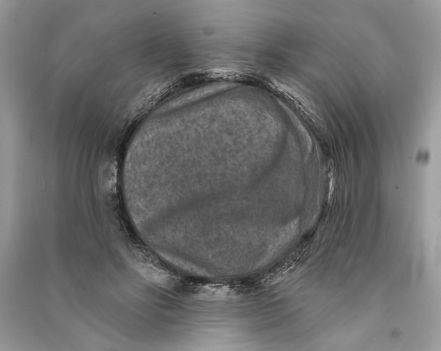 X0000090730502200708101643