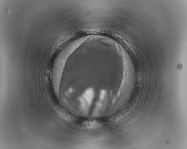 X0000090730503200708101643